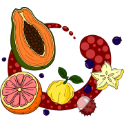 Fruité